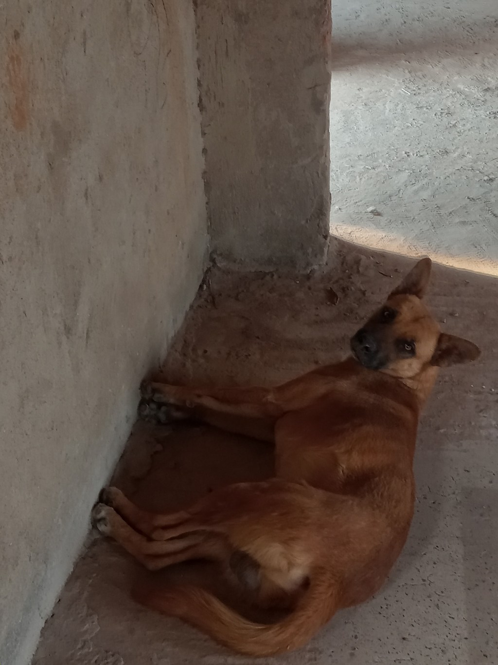 What to do in Zimbabwe the week of October 3,&nbsp;2023